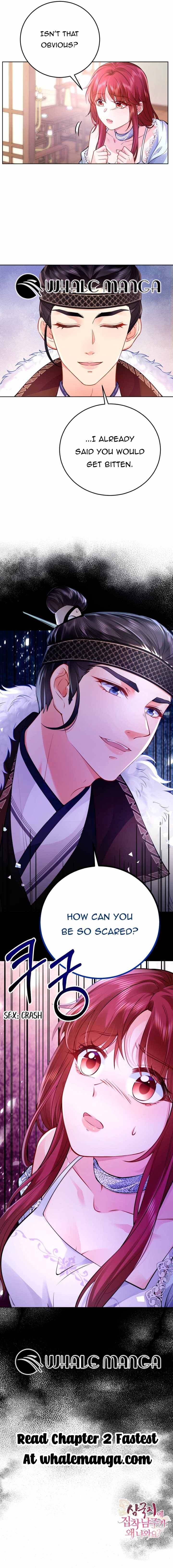 What’s With The Three Kingdoms-Obsessed Male Lead? - Chapter 1