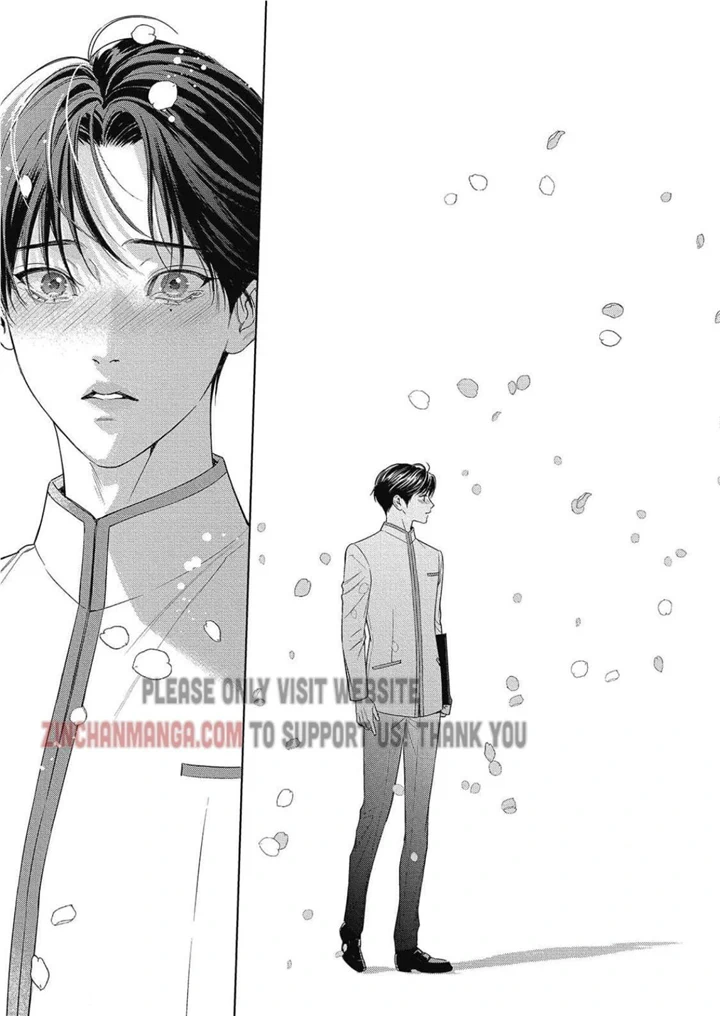 The Alpha's Bride - Chapter 31