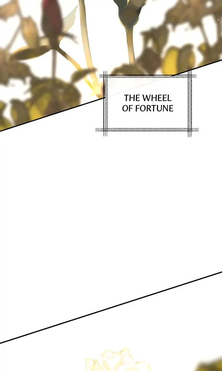 Wheel Of Fortune - Chapter 38