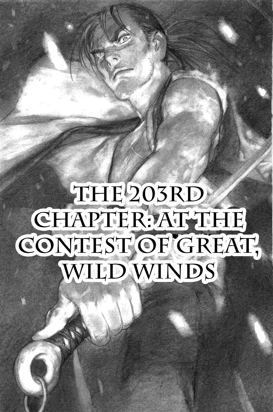 Mugen No Juunin - Vol.30 Chapter 203: Where Ferocious Winds Contest