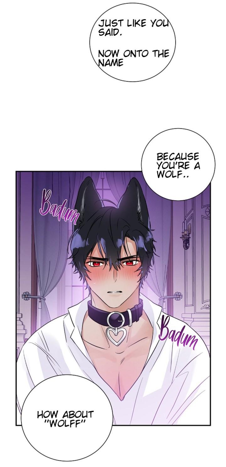 Domestic Wolf - Chapter 6