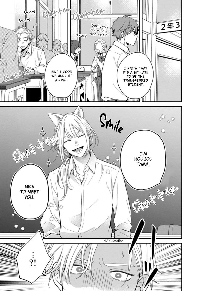 Ore-Sama Na Doukyuusei No Kenzoku Ni Narimashita - Chapter 3