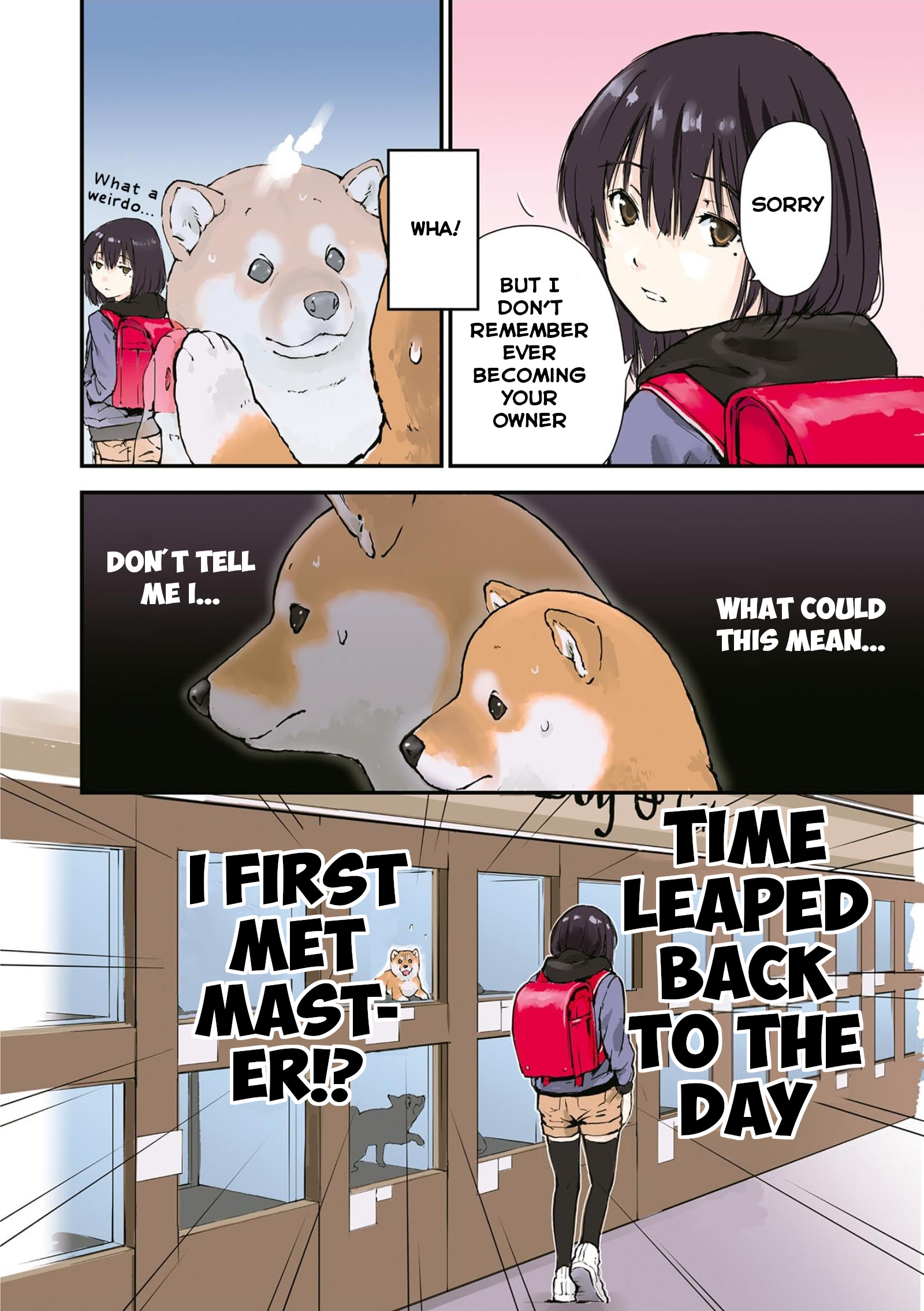 Roaming The Apocalypse With My Shiba Inu - Vol.2 Chapter 26.5: With You, In The Glass Case