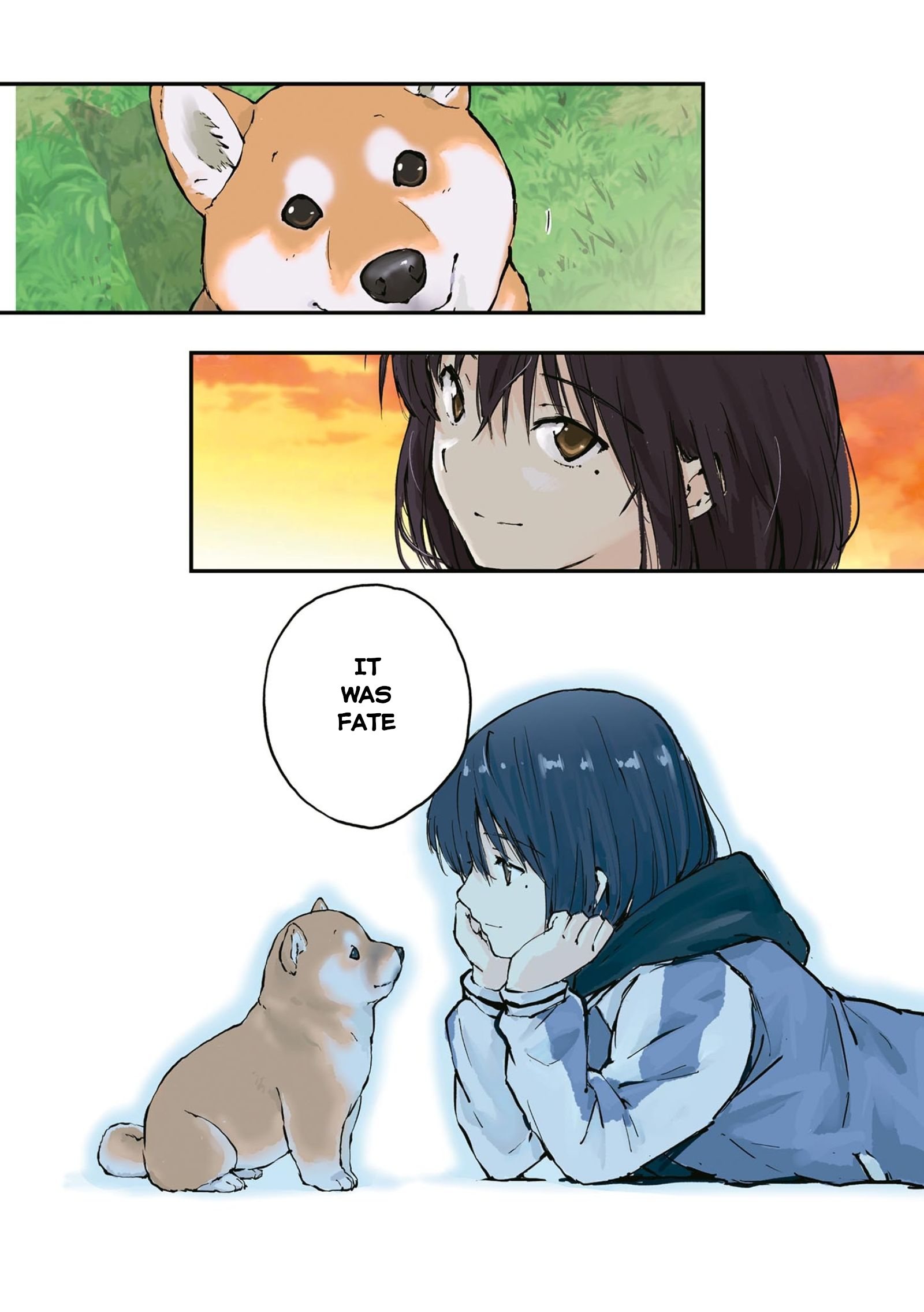 Roaming The Apocalypse With My Shiba Inu - Vol.2 Chapter 26.5: With You, In The Glass Case