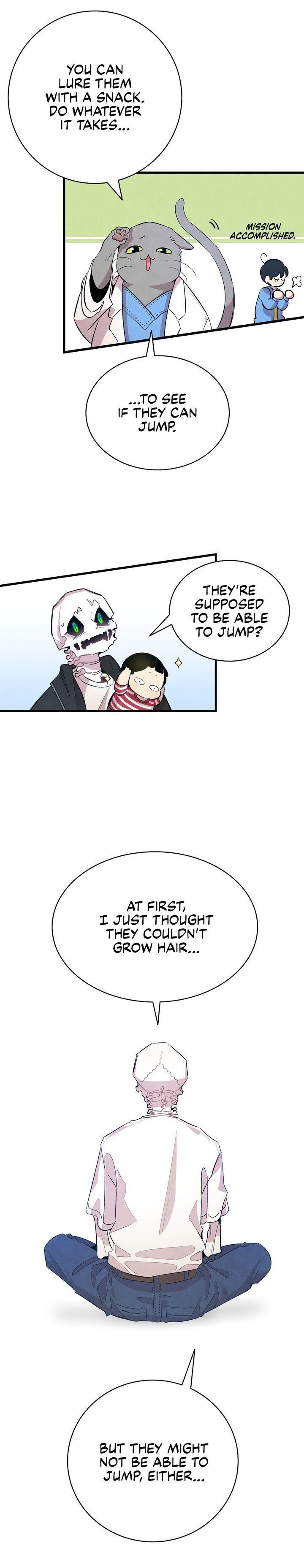 The Skeleton Becomes A Cat Dad - Chapter 84