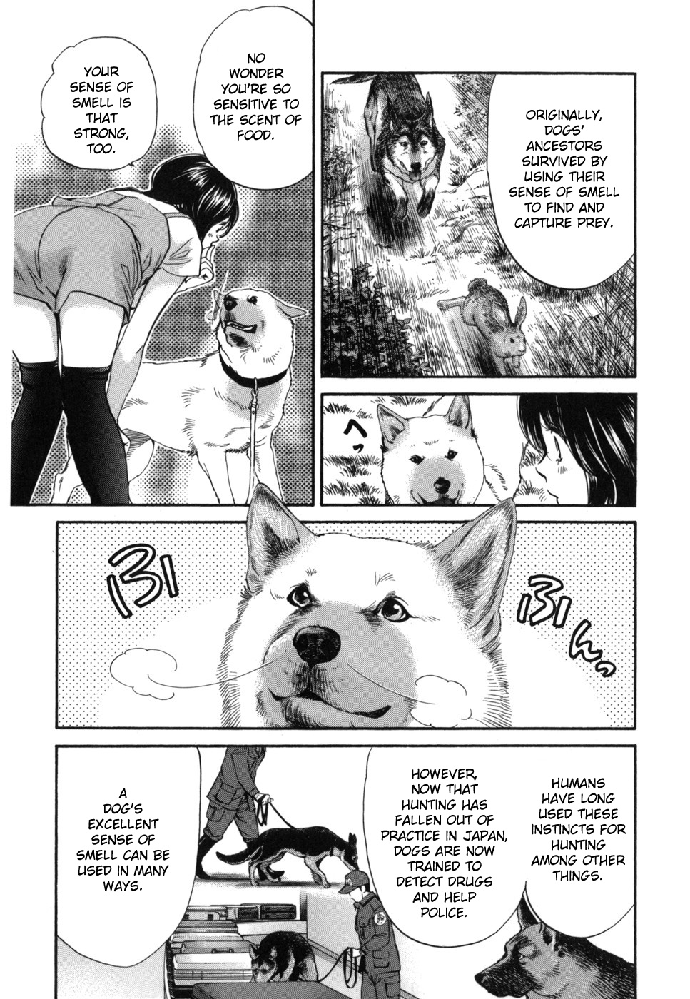 Inubaka - Vol.17 Chapter 181: Hunting Instincts, Awaken!