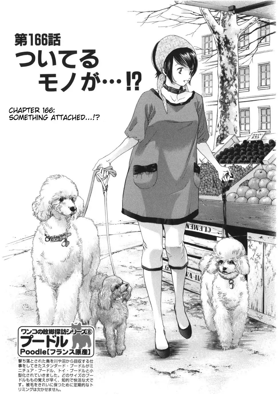 Inubaka - Chapter 166: Something Attached..!?