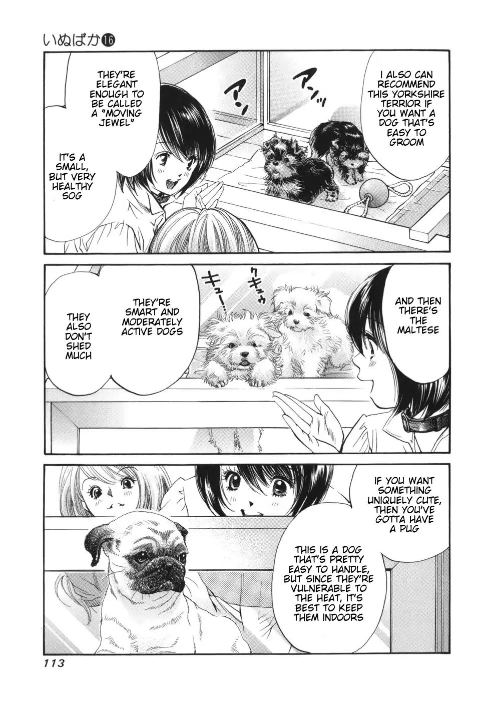 Inubaka - Chapter 168: Serina Wants A Dog!