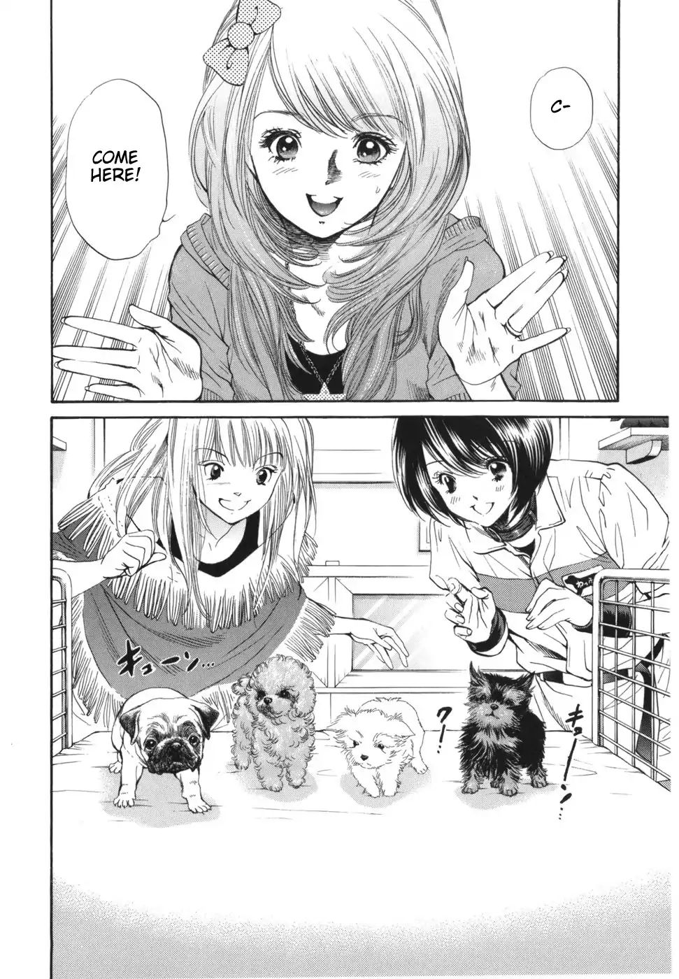 Inubaka - Chapter 168: Serina Wants A Dog!