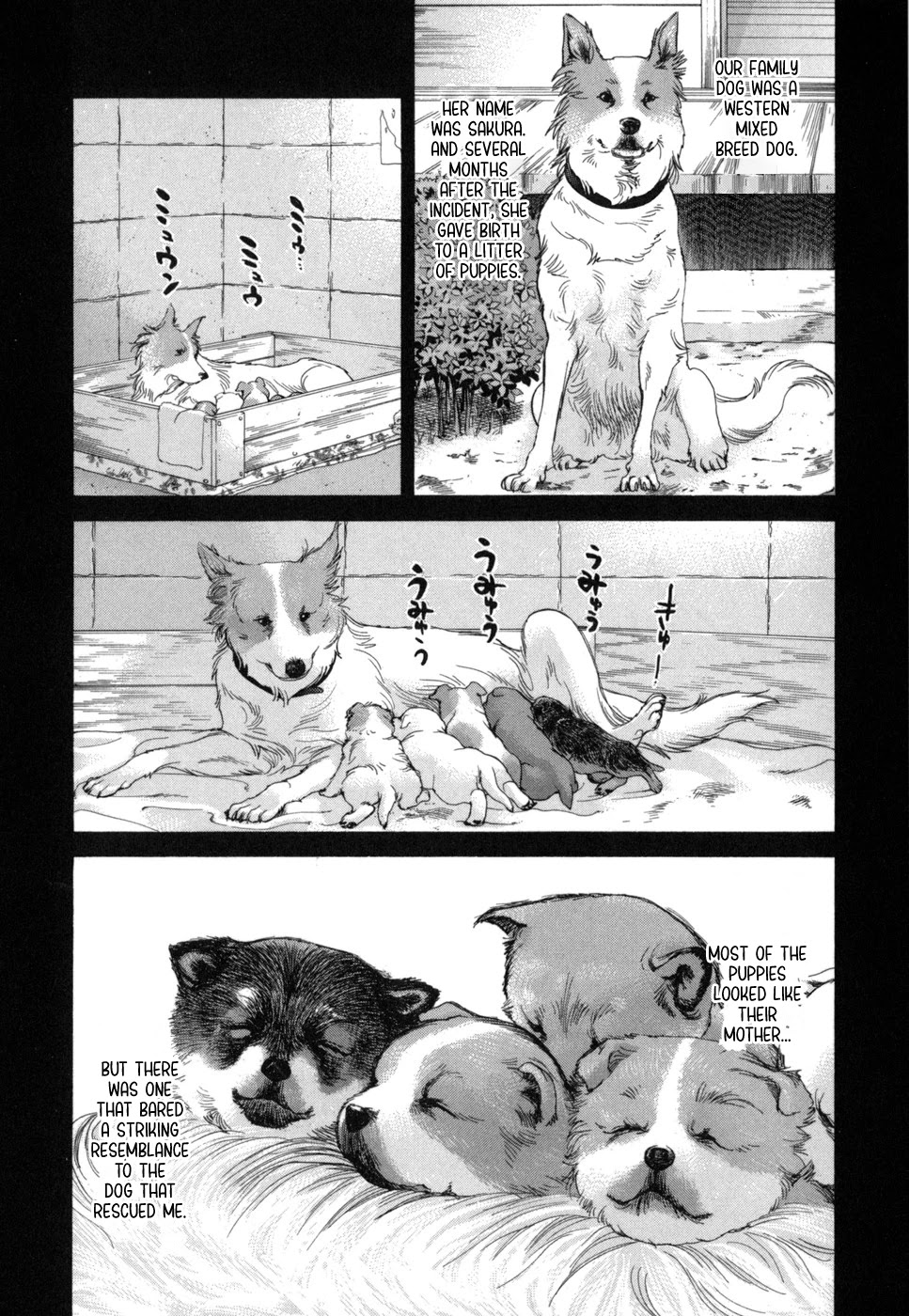 Inubaka - Chapter 184: I Like Mixed Breeds