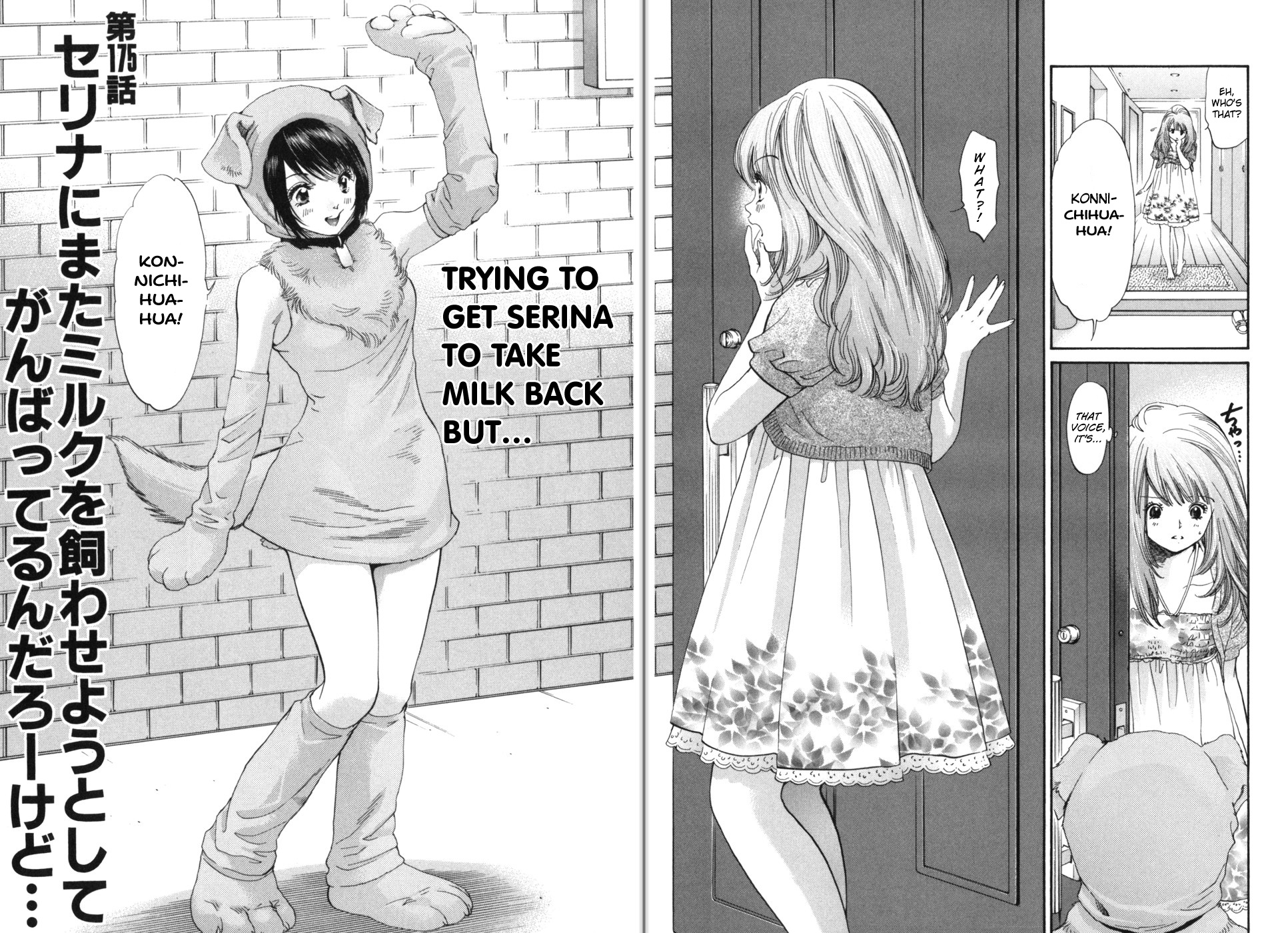 Inubaka - Vol.17 Chapter 175: Will Serina Take Milk Back?