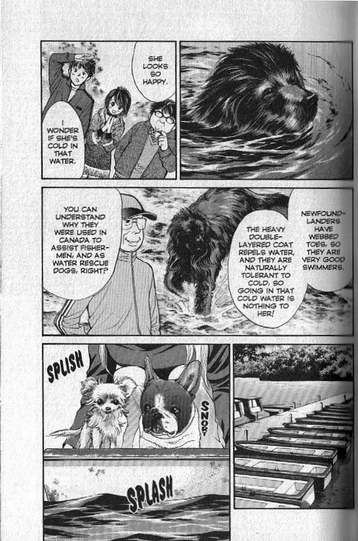 Inubaka - Chapter 143: A Pro Water Rescuer, But...