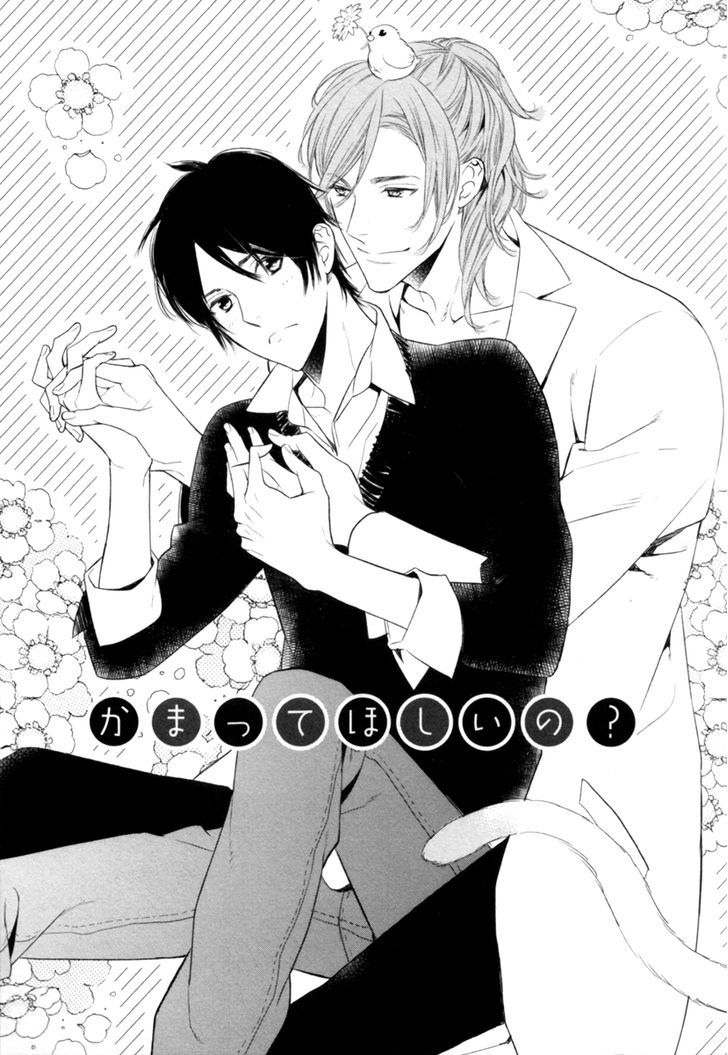 Kamatte Hoshi No? - Vol.1 Chapter 1 : Want My Attention?