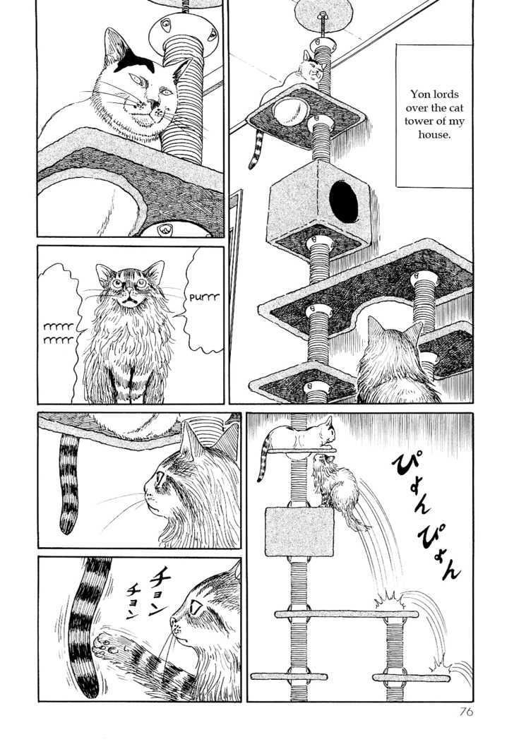 Itou Junji No Neko Nikki: Yon & Mu - Vol.1 Chapter 7 : King Yon