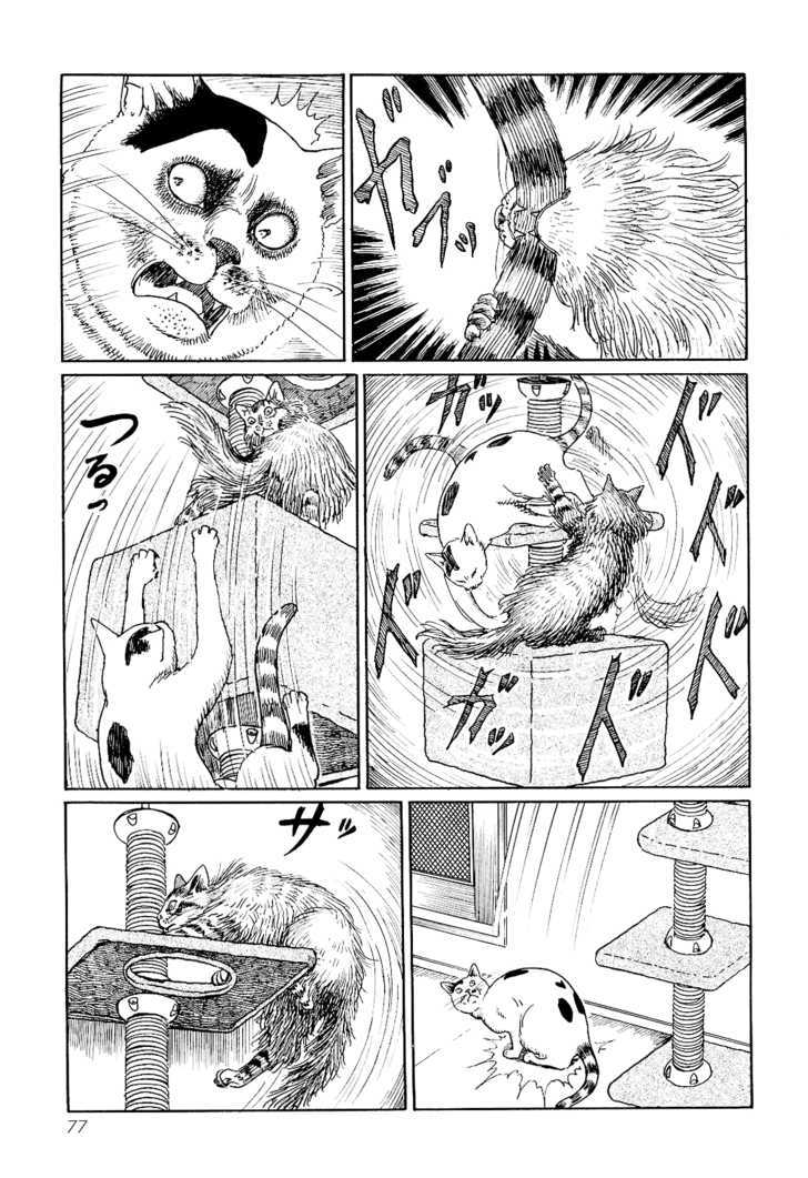 Itou Junji No Neko Nikki: Yon & Mu - Vol.1 Chapter 7 : King Yon