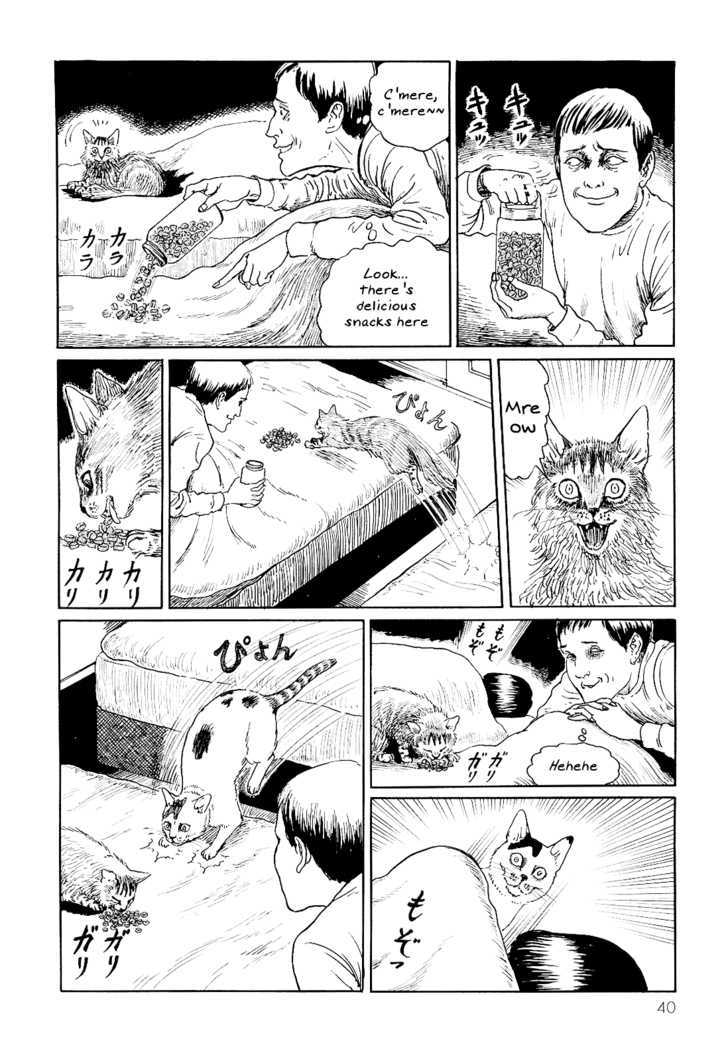 Itou Junji No Neko Nikki: Yon & Mu - Vol.1 Chapter 4 : The Happenings Of A Certain Night