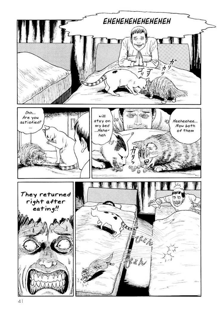 Itou Junji No Neko Nikki: Yon & Mu - Vol.1 Chapter 4 : The Happenings Of A Certain Night