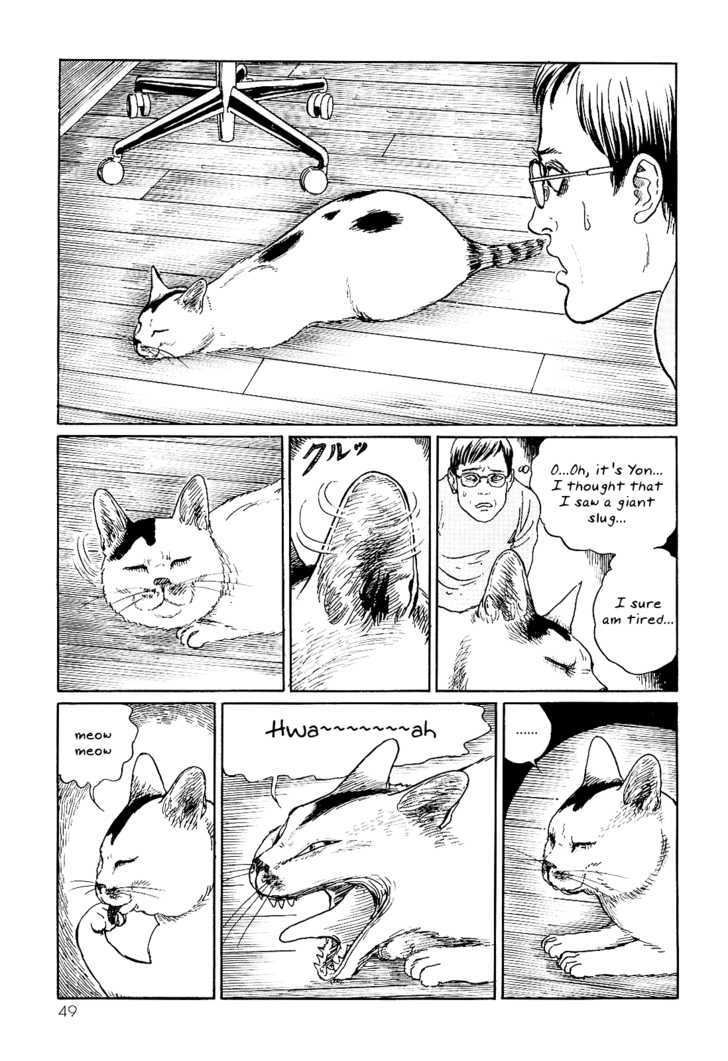 Itou Junji No Neko Nikki: Yon & Mu - Vol.1 Chapter 5 : Yon Really Is A Strange Cat