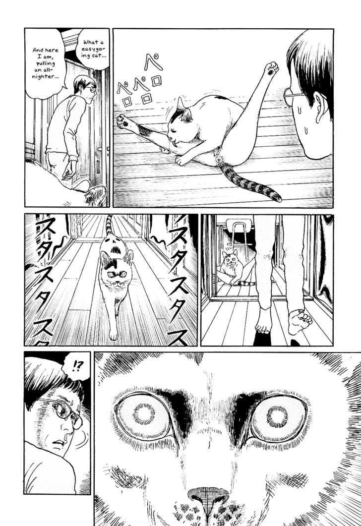 Itou Junji No Neko Nikki: Yon & Mu - Vol.1 Chapter 5 : Yon Really Is A Strange Cat