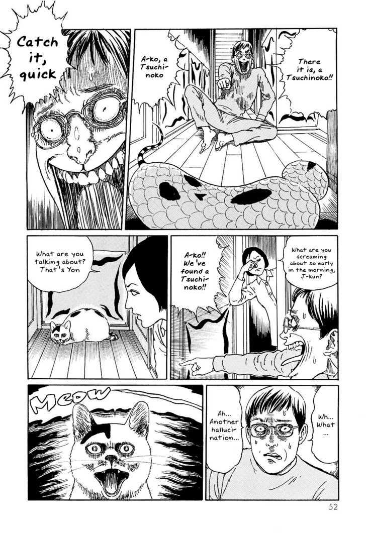 Itou Junji No Neko Nikki: Yon & Mu - Vol.1 Chapter 5 : Yon Really Is A Strange Cat