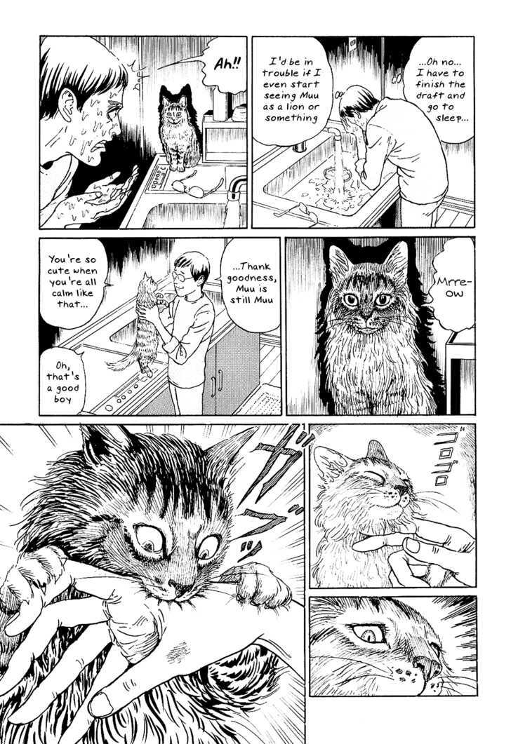 Itou Junji No Neko Nikki: Yon & Mu - Vol.1 Chapter 5 : Yon Really Is A Strange Cat