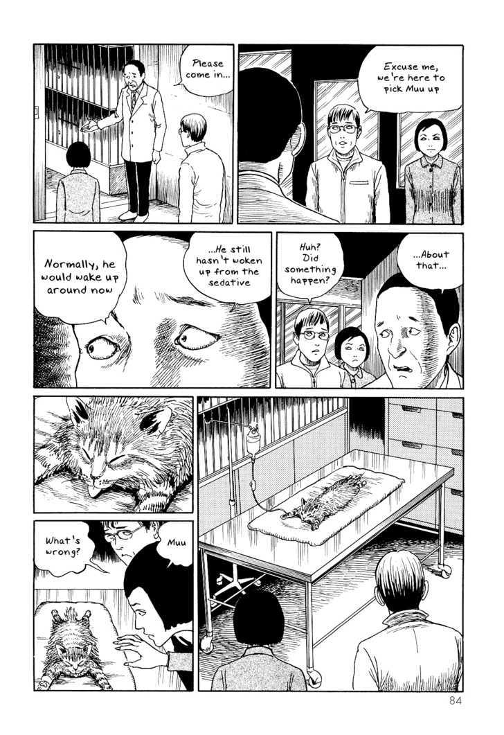 Itou Junji No Neko Nikki: Yon & Mu - Vol.1 Chapter 8 : Muu's Castration