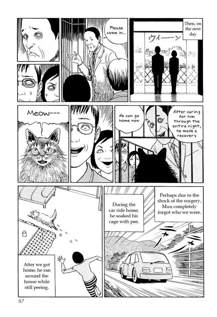 Itou Junji No Neko Nikki: Yon & Mu - Vol.1 Chapter 8 : Muu's Castration