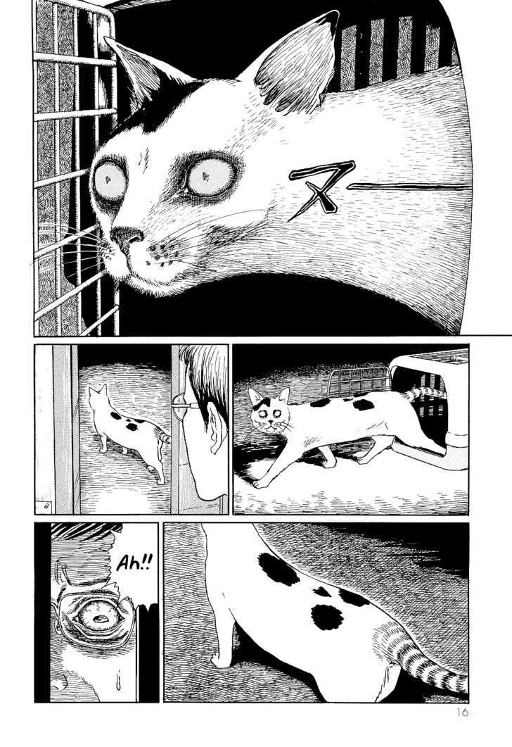 Itou Junji No Neko Nikki: Yon & Mu - Vol.1 Chapter 2 : Yon Attacks