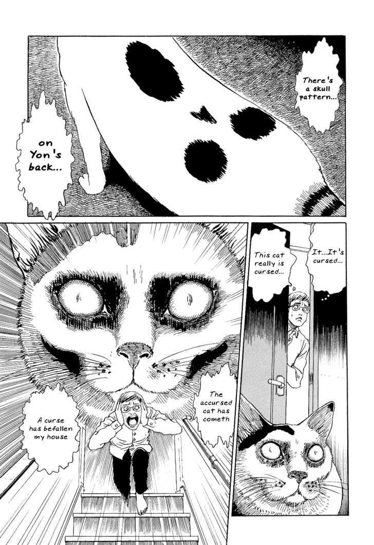 Itou Junji No Neko Nikki: Yon & Mu - Vol.1 Chapter 2 : Yon Attacks