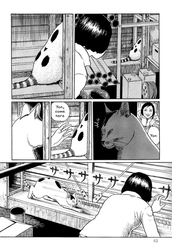 Itou Junji No Neko Nikki: Yon & Mu - Vol.1 Chapter 6 : Yon's Great Escape