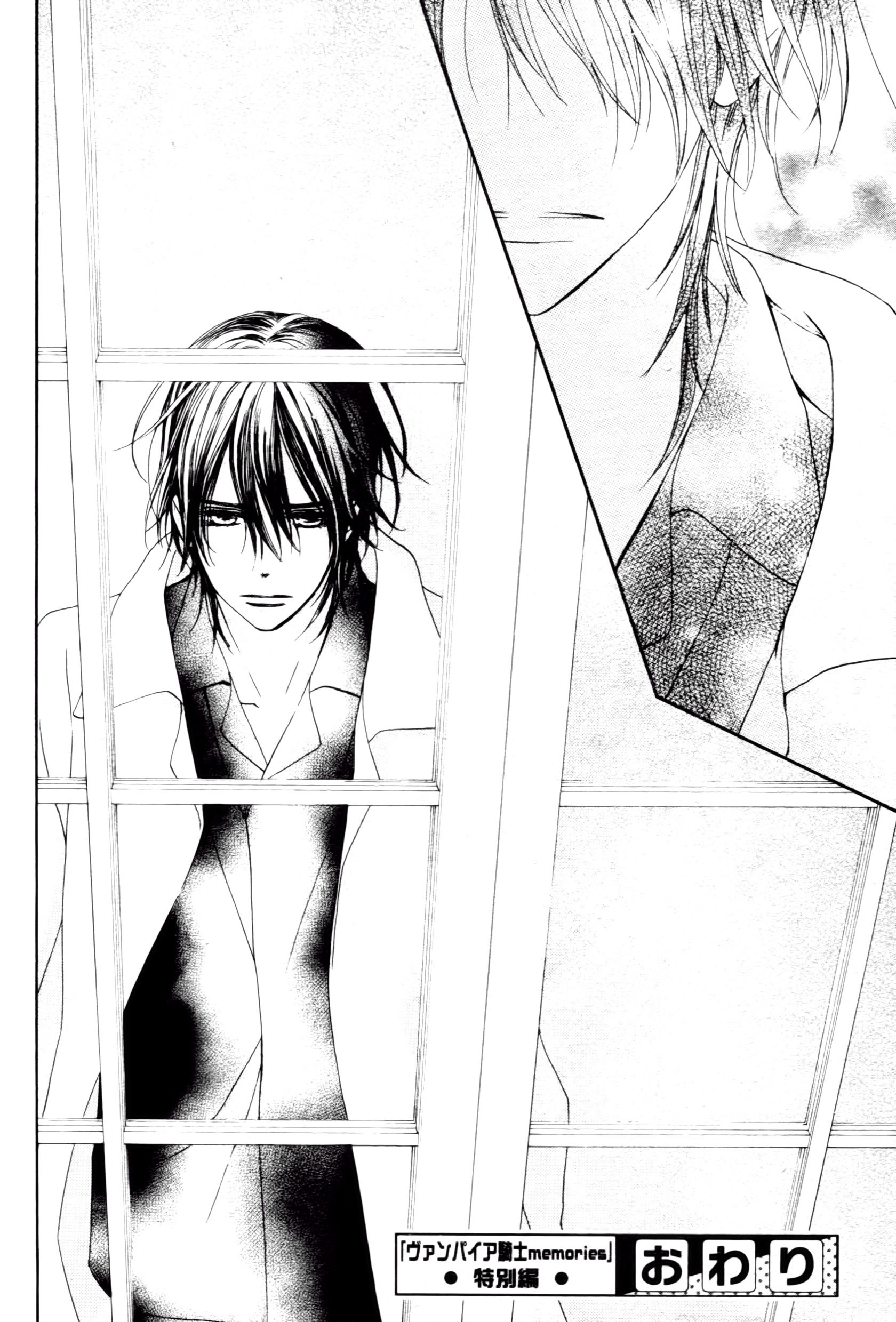 Vampire Knight Memories - Chapter 13.5