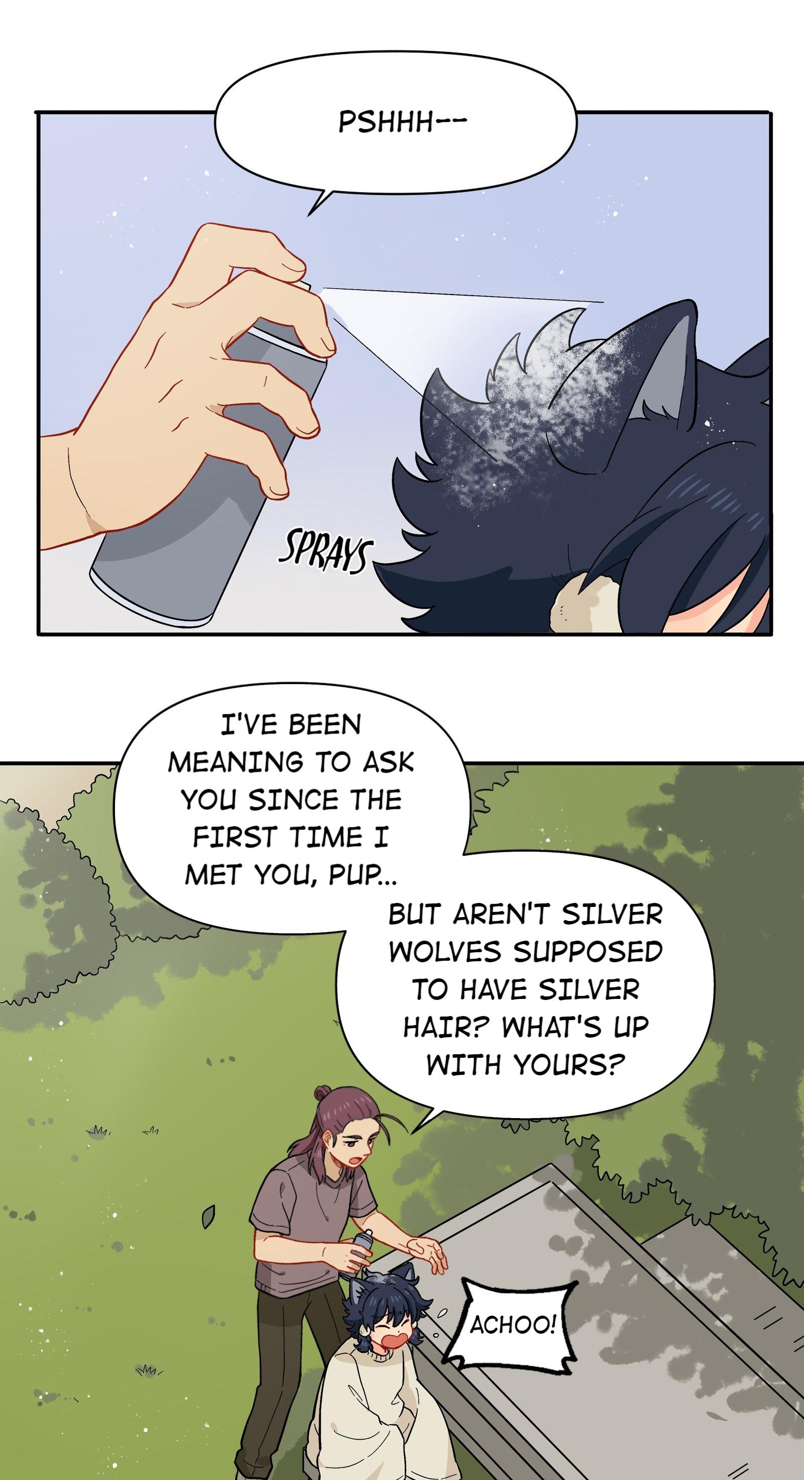 The Silver Wolf - Chapter 44: I'm A Pure-Bred Wolf!