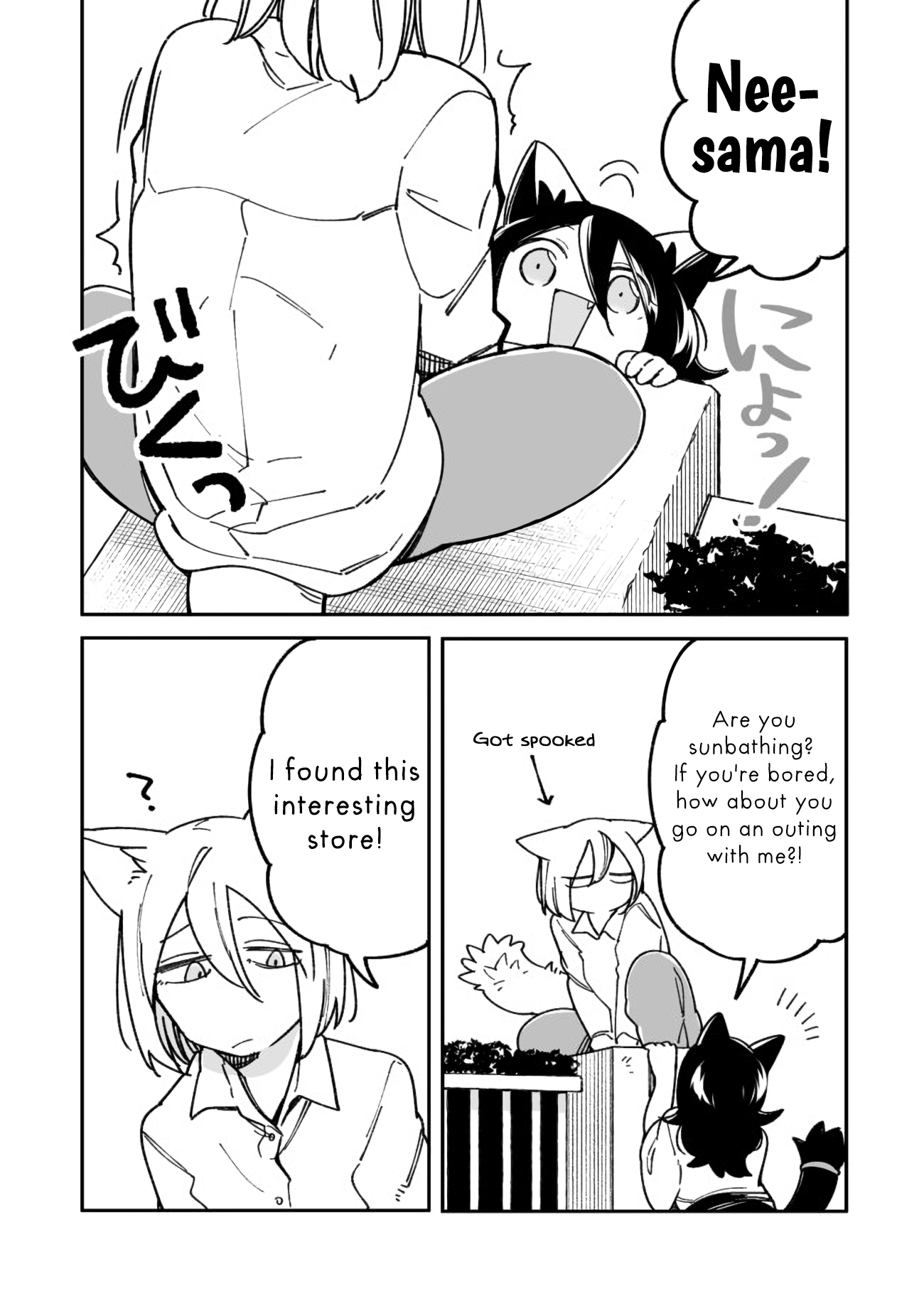 Nora-San The Tsungire Cat - Chapter 4.5: Nora-San X Kuzuryu Special Chapter