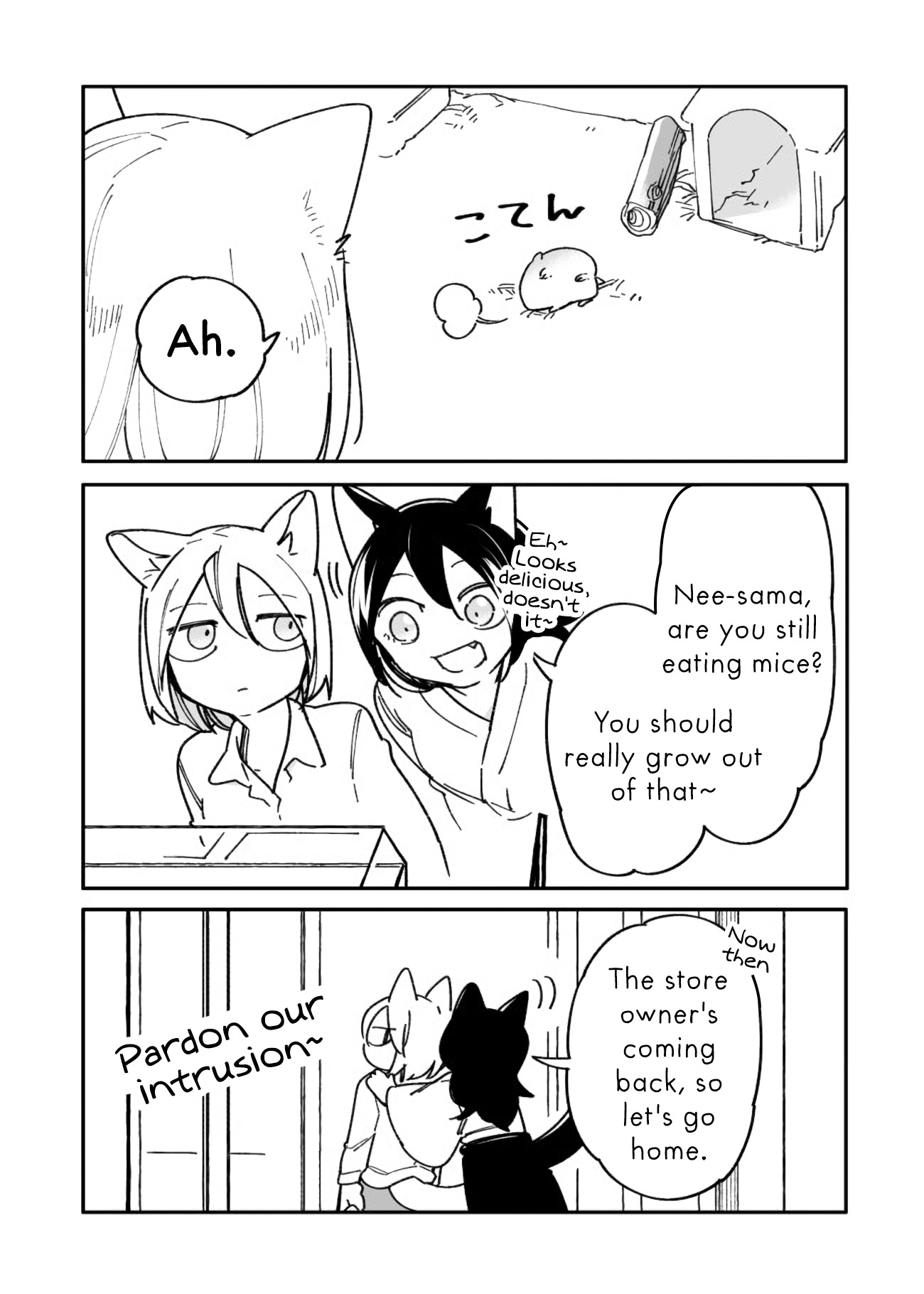 Nora-San The Tsungire Cat - Chapter 4.5: Nora-San X Kuzuryu Special Chapter