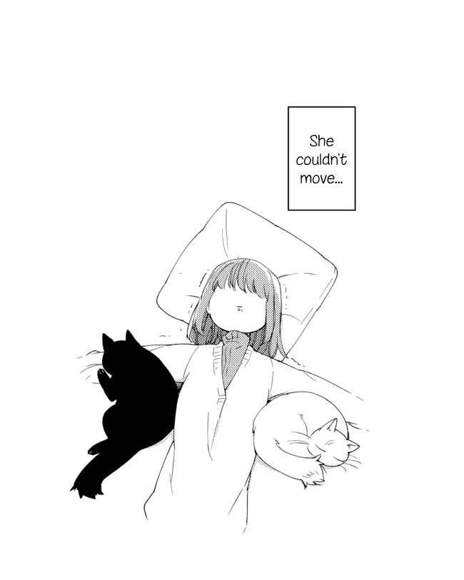 Nora-San The Tsungire Cat - Chapter 4.1