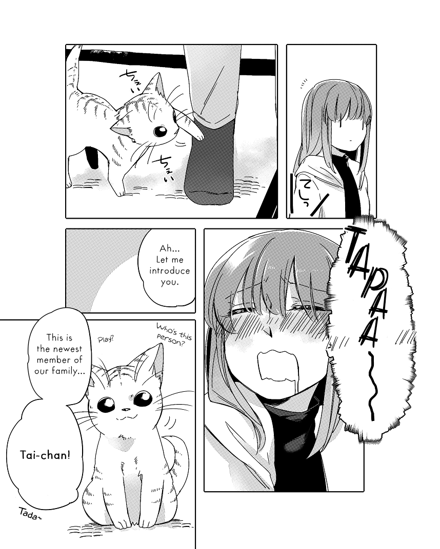 Nora-San The Tsungire Cat - Chapter 2.2