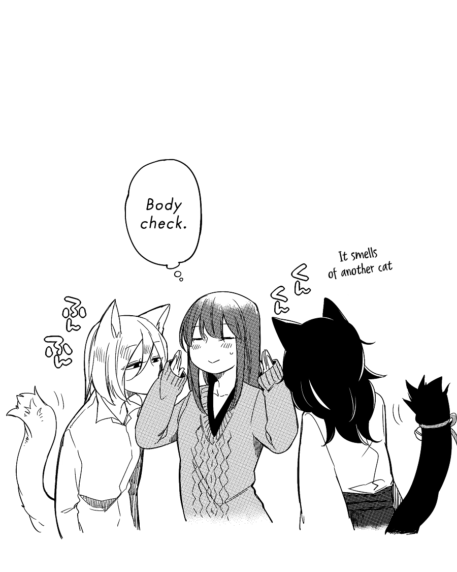 Nora-San The Tsungire Cat - Chapter 2.2