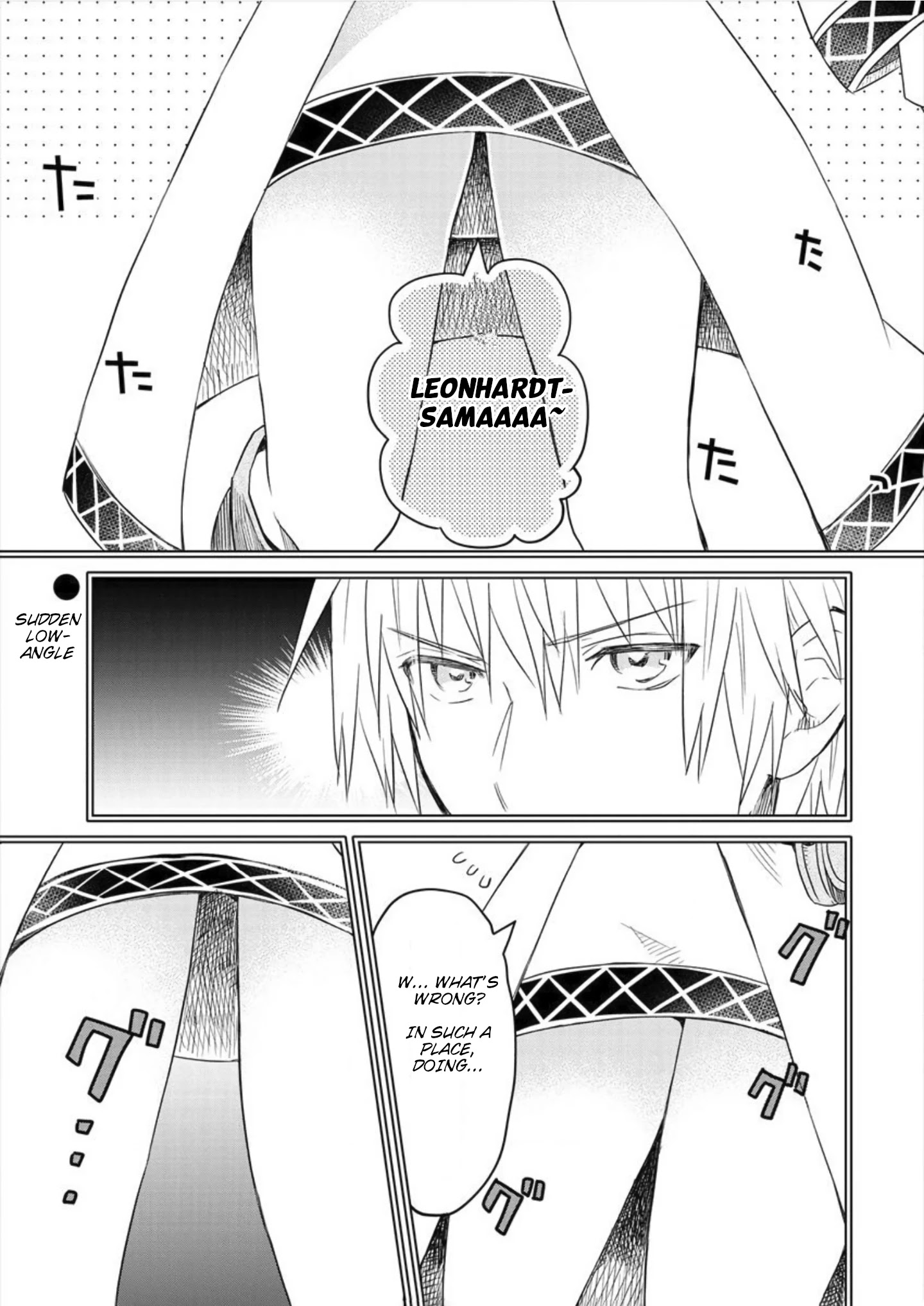 Leonhardt-Sama Is A Girl - Chapter 2: Unexpected Low-Angle.