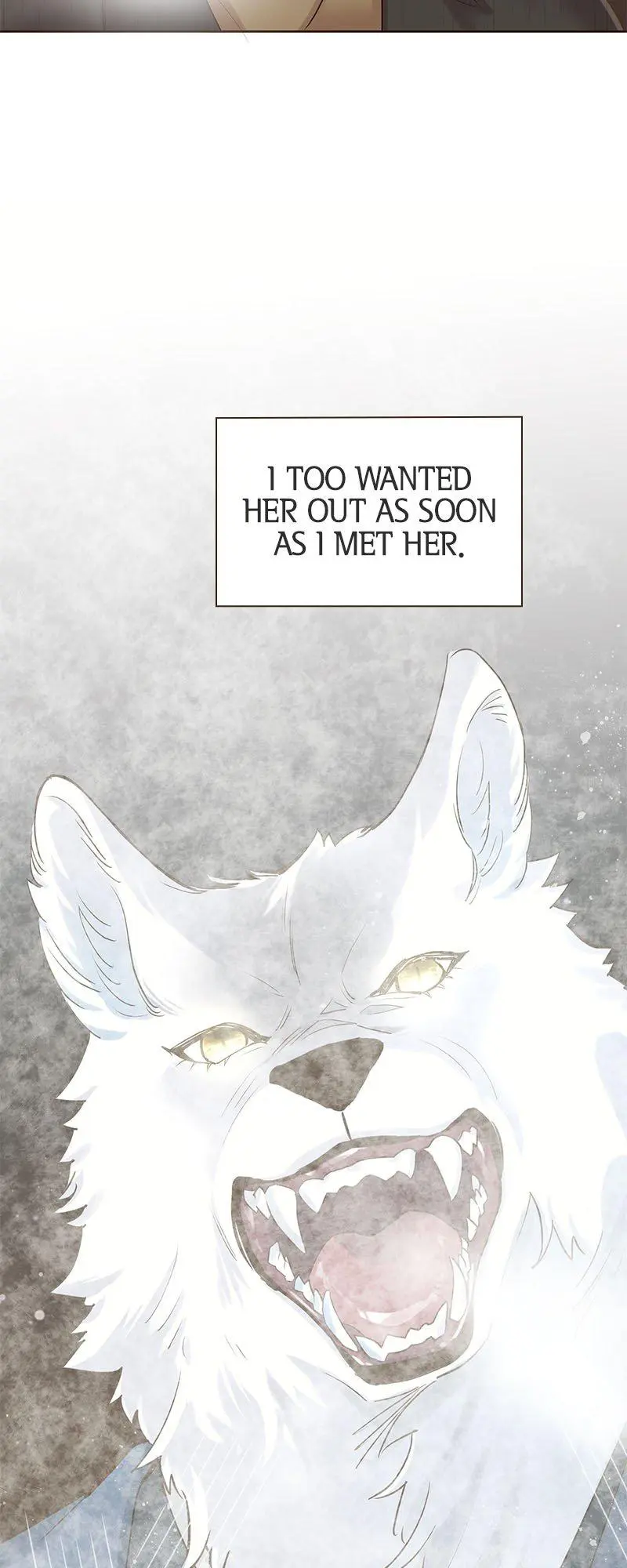 The White Wolf’s Bride - Chapter 5