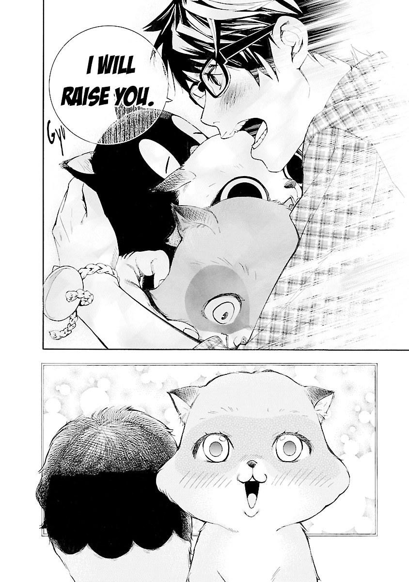 Hime-Sama Tanuki No Koizanyou - Chapter 6 : Tanuki Are Tough