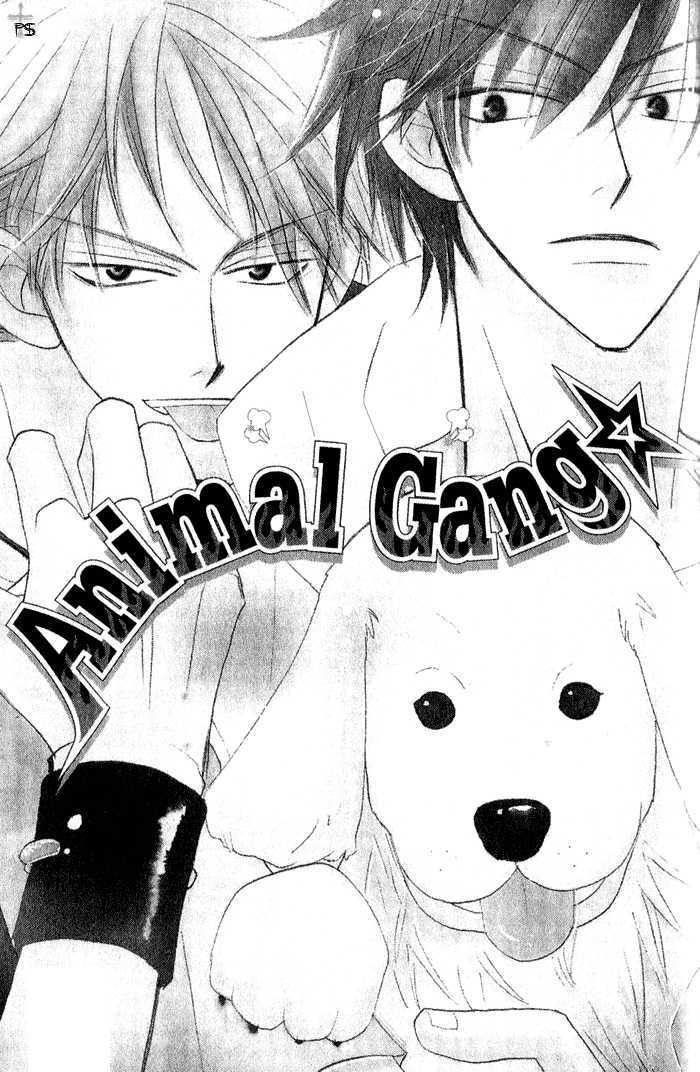 The Catharsis Of Pure Love Or Not-Pure Love - Vol.1 Chapter 4 : Animal Gang