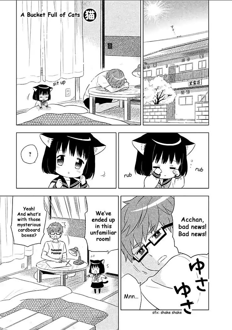 Neko No Kohana - Chapter 2 : A Bucket Full Of Cats