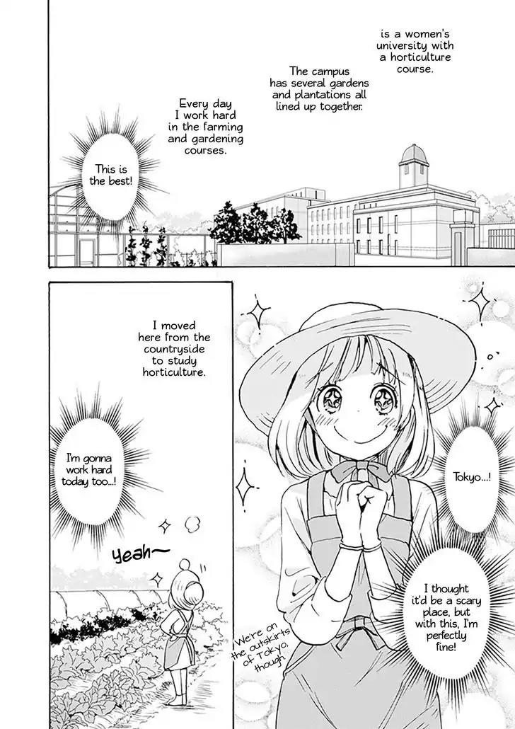 Yamada To Kase-San - Chapter 1: Dianthus And Kase-San