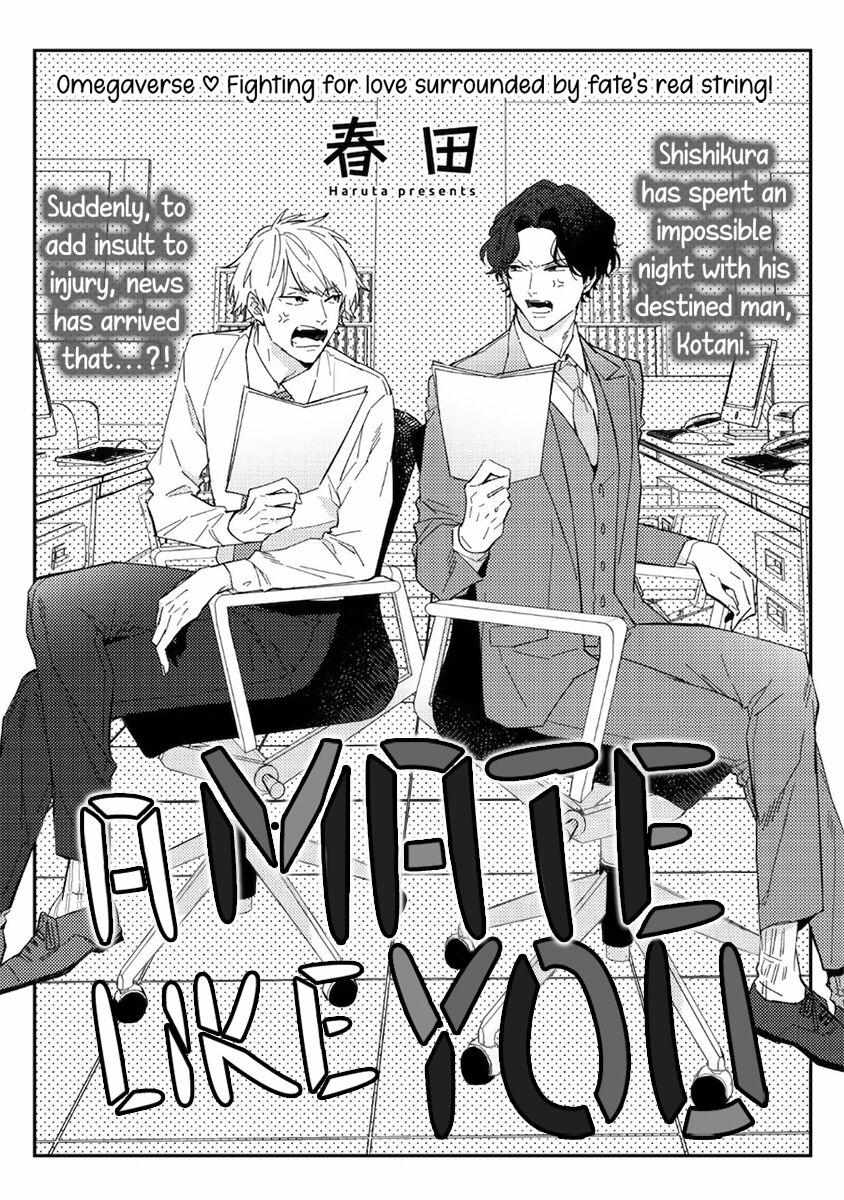 A Mate Like You - Chapter 2