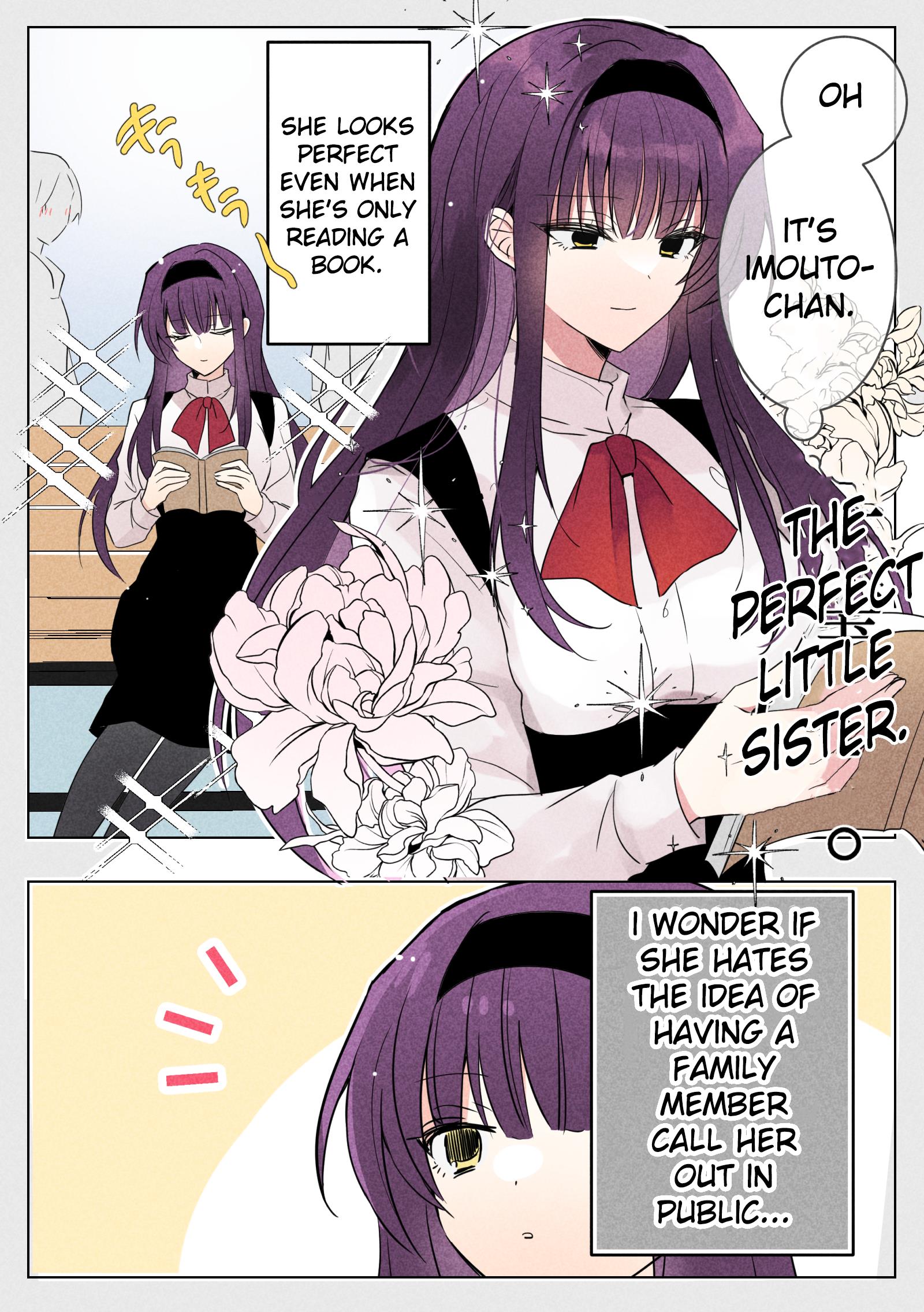 Kanpeki Na Imouto - Chapter 4: Perfect Sister Who Met Her Brother Outside.