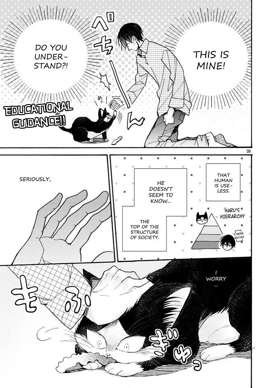 Doukyonin Wa Hiza, Tokidoki, Atama No Ue. - Chapter 3.5 : Petting You [Haru Edition]