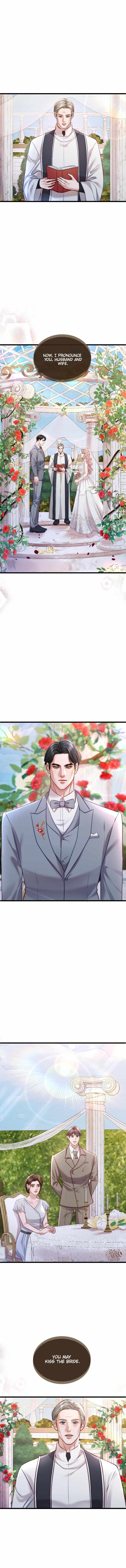 The Billionaire’s Replacement Wife - Chapter 15