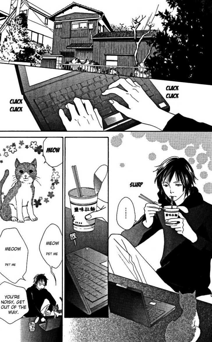 Cat Street - Vol.6 Chapter 23