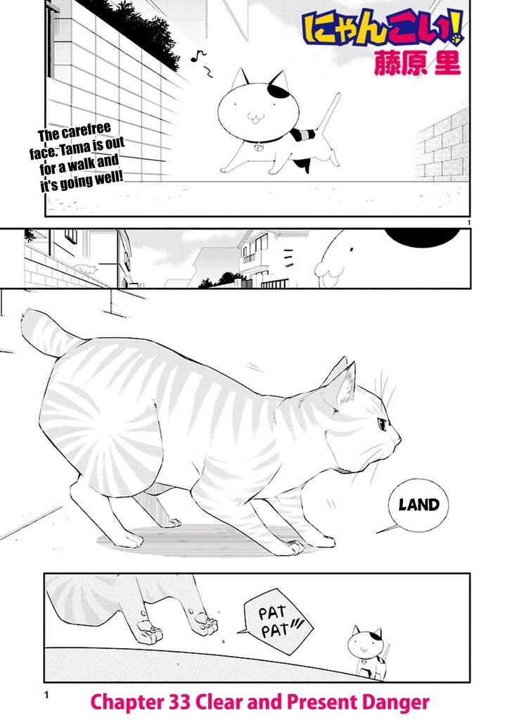 Nyankoi! - Vol.5 Chapter 33 : Clear And Present Danger