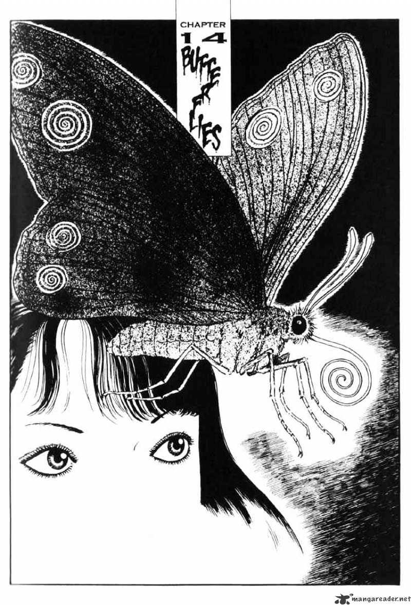 Uzumaki - Chapter 14 : Butterflies